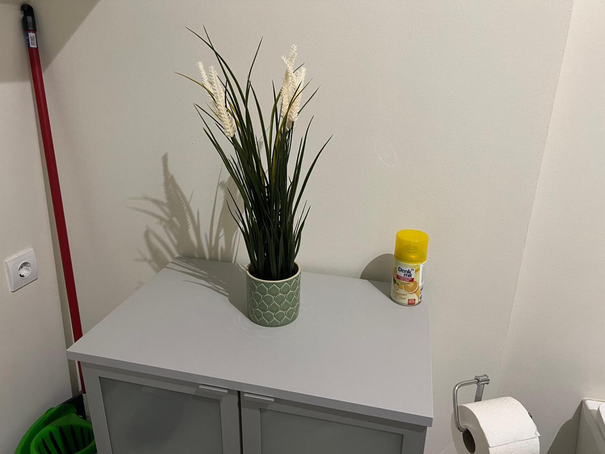 샌탠드레 Buekkoes Apartman 아파트 외부 사진